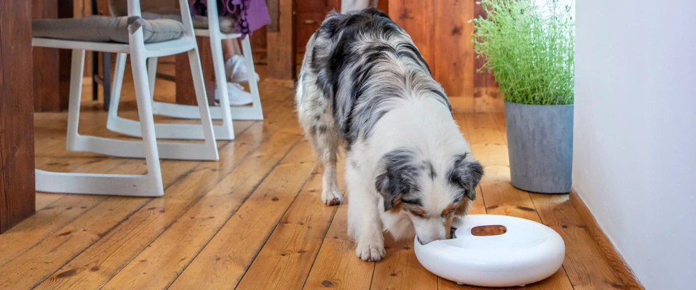 Inteligentný dávkovač Petoneer NutriSpin