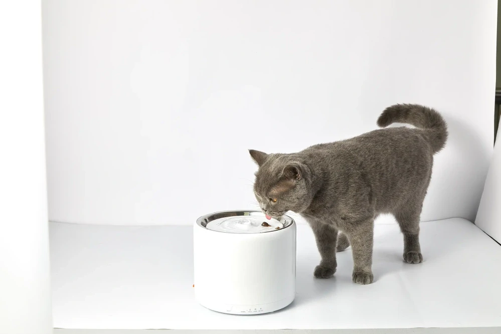 Petkit Eversweet 3 Pro UVC Fontána pre domáce zvieratá