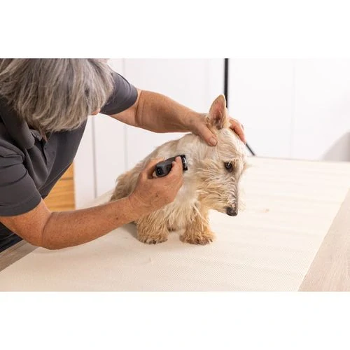 WAHL Prima Trimmer strihací strojček na citlivé oblasti