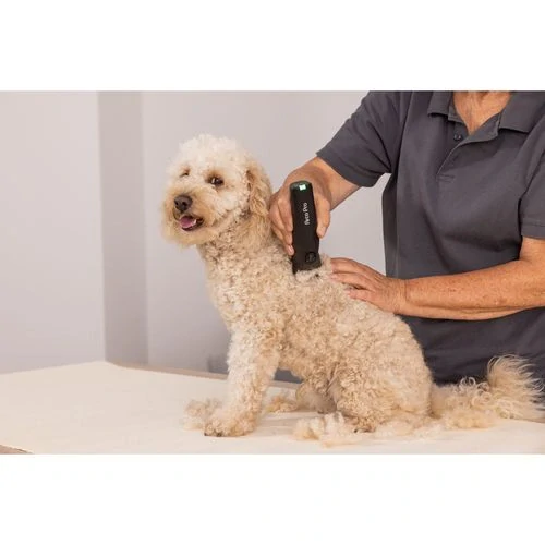 WAHL Arco Pro Clipper profesionálny akumulátorový strihací strojček