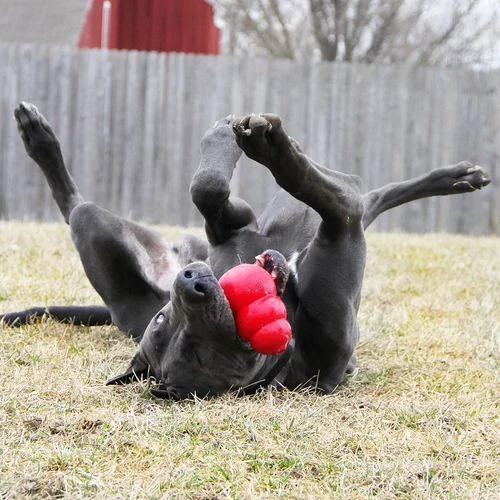 KONG Classic gumená hračka pre psov M 9x6x6cm červená