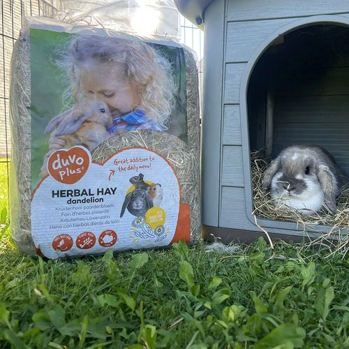 DUVO+ Špeciálne seno s púpavou 1kg