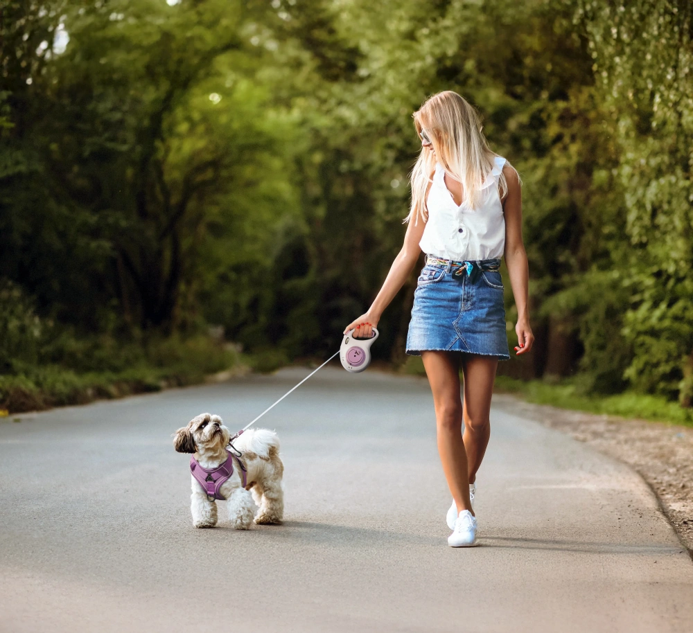 flexi Select samonavíjacie páskové vodítko s nastaviteľnou dĺžkou 0–7 m do 25 kg svetlosivé/fialové