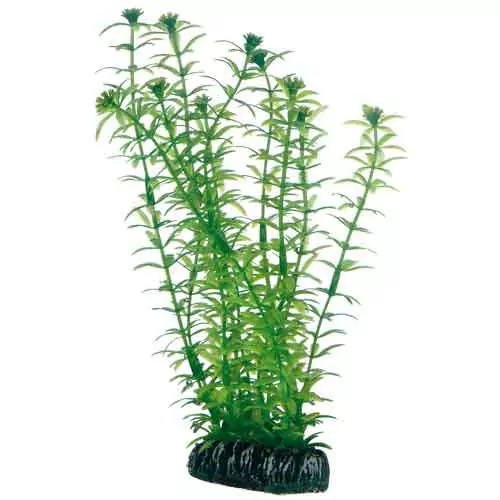 HOBBY Plantasy Set 4- Sada umelých rastlín 4