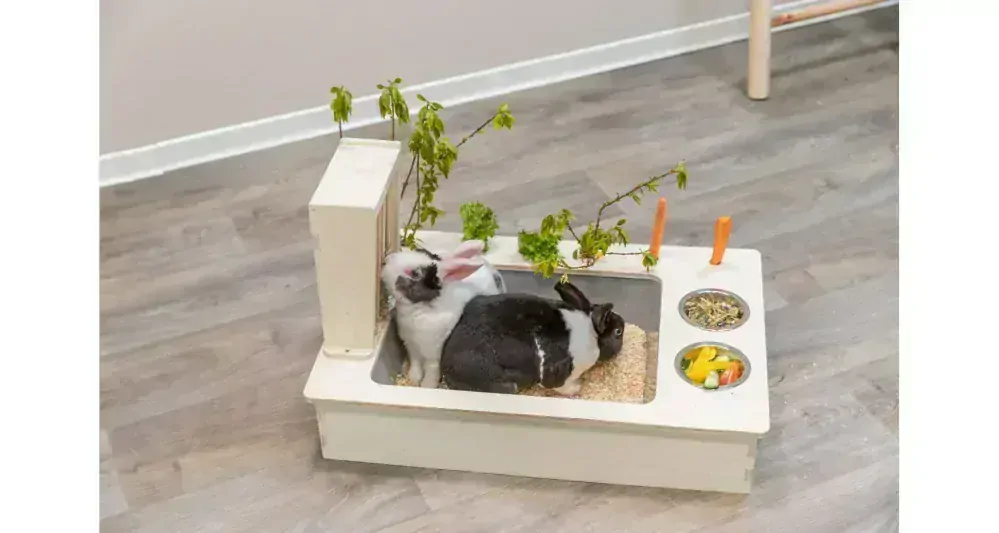 Kŕmna stanica - bar + misky, jasličky - 70 x 41 x 47 cm, drevo/nerez/plast