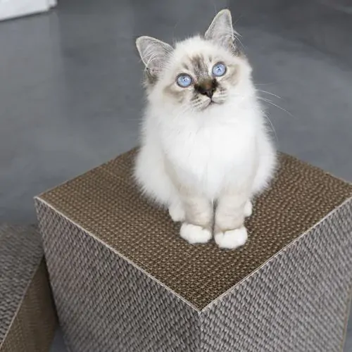 EBI D&D I LOVE HAPPY CATS FREYA Škrabadlo z kartónu pre mačky L 30x30x30cm 