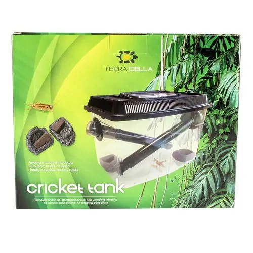 EBI TERRA DELLA Nádoba na chov cvrčkov s miskami na krmivo a vodu 30x19x20cm