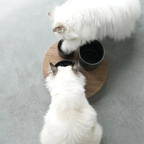EBI D&D I LOVE HAPPY CATS IGGY Sada keramických misiek pre mačky na drevenom podnose 240-500-800ml - 27x27x19cm