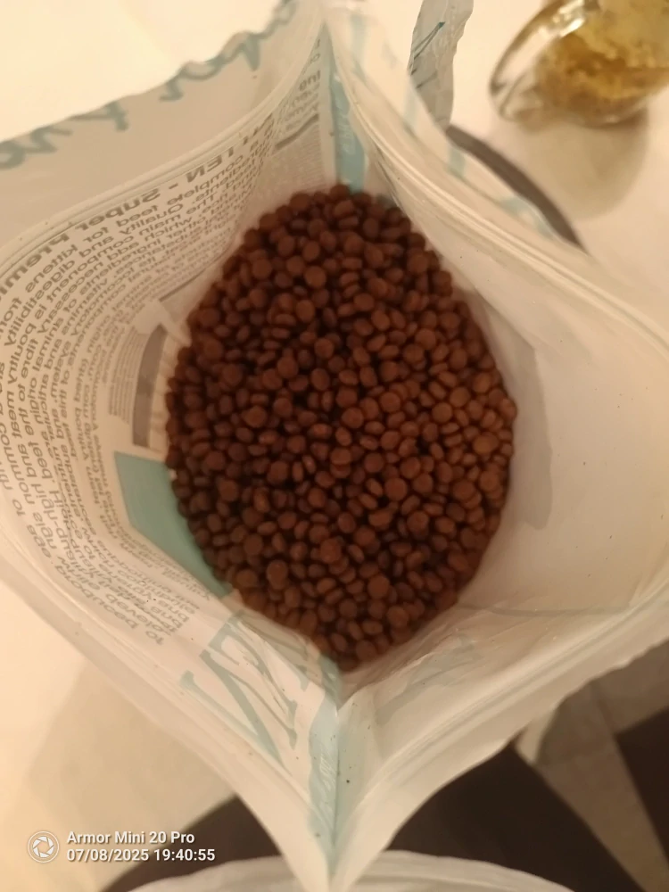 DELIKAN SUPRA CAT Kitten 1,5kg Krmivo určené mačiatkam s hydinovým mäsom a rybou