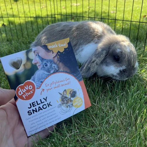 DUVO+ Jelly snack pre hlodavce 1,2g x 12ks želé pochúťky s púpavou