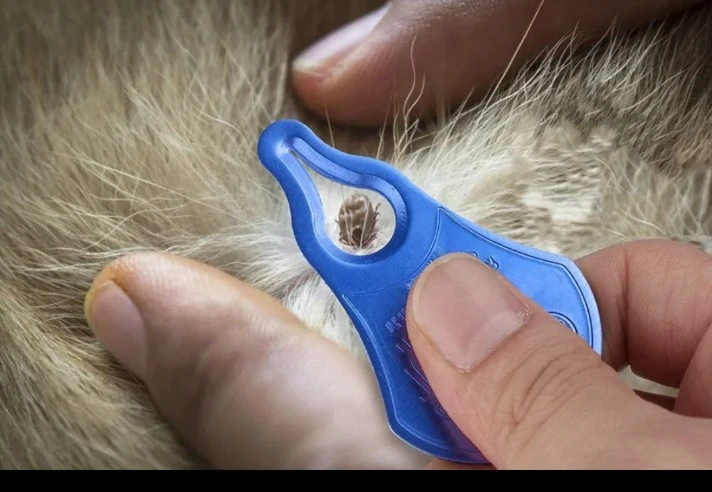 Nástroj na odstraňovanie kliešťov červený