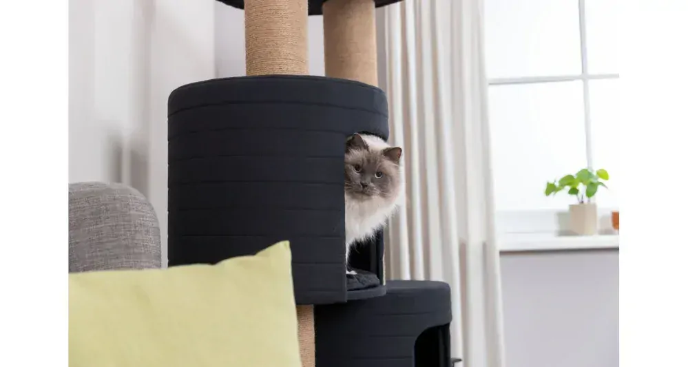 XXL škrabadlo TEITES, 148 cm, 2 iglu, robustné stĺpiky, čierna