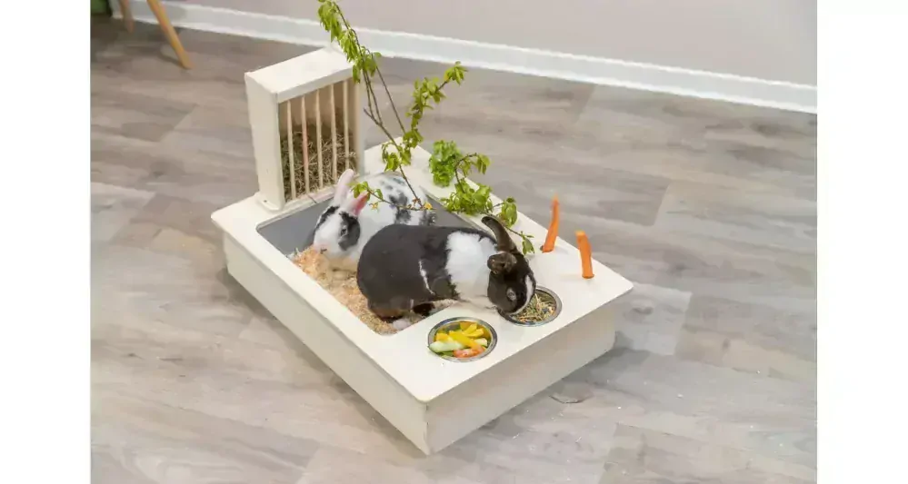 Kŕmna stanica - bar + misky, jasličky - 70 x 41 x 47 cm, drevo/nerez/plast