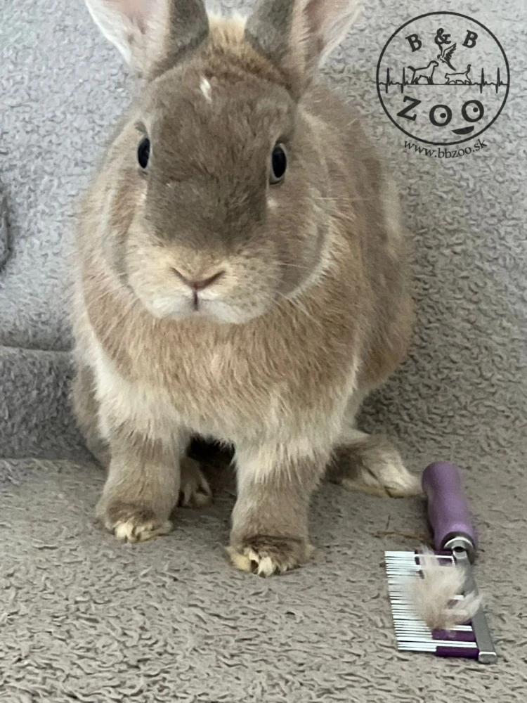 HairBuster - špeciálny hrebeň pre králiky