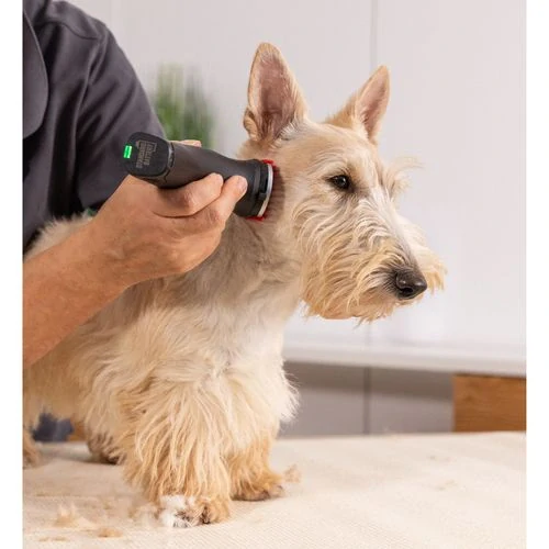 WAHL Arco Pro Clipper profesionálny akumulátorový strihací strojček