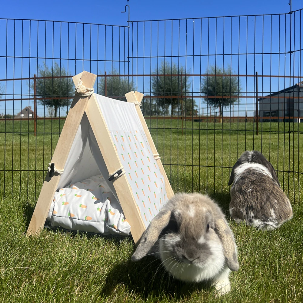 DUVO+ Stan pre drobné hlodavce 35x41x43,5cm s mrkvovým motívom