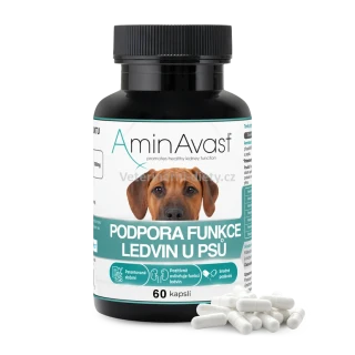 AminAvast 1000 mg 60 cps. pes